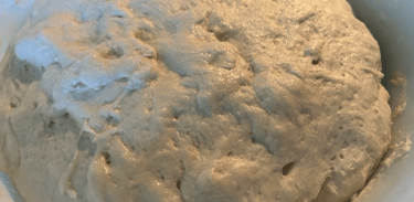Bowl of dough that has rested for about 1 hour.