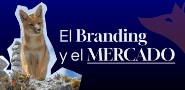 branding-y-mercado