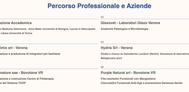 Percorso Professionale