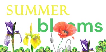 Flower Illustrations