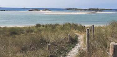 un chemin menant à une plage en Bretagne