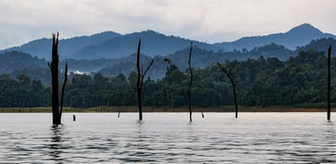 Khao Sok National Park