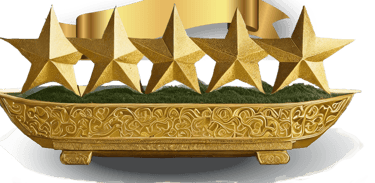 gold stars 5 rating