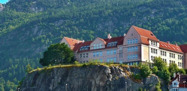 Rothaugen skole from below