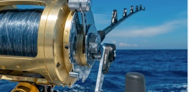 Profesjonalna konserwacja i higieniczna dezynfekcja luksusowego sprzętu sportowego przy użyciu suchej pary EV Atlantis.