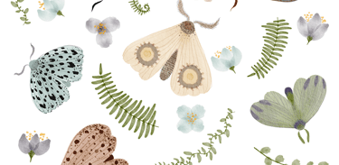 Padrão botânico aquarela com borboletas e plantas silvestres para design de superfícies