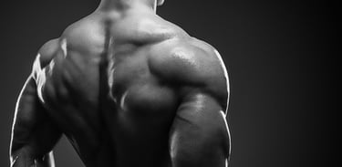 a man with a muscular body and a back view of a man