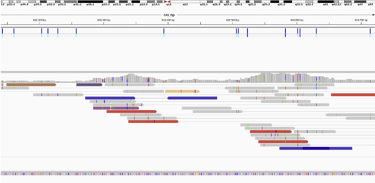 Discordant Reads visualized in IGV