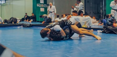 Grappling Collado Villalba Finalizaciones