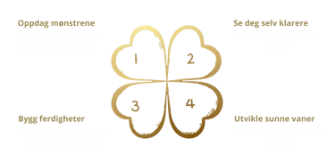 Kløverbilde om teracoach metoden