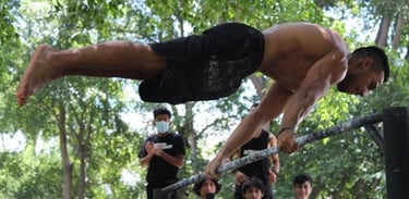 street fit calistenia