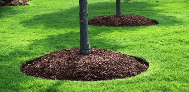 mulching garden bed