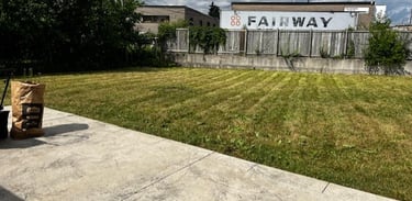 mowed grass