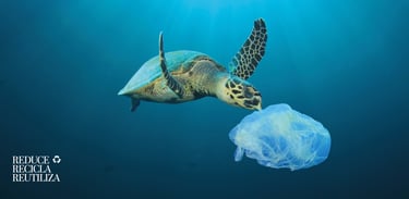 tortuga fondo marino