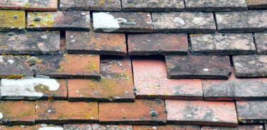 Roof Problem Isle of wight