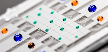 Digital microfluidic device developed by Blue Ocean Technologies for rapid and precise testing.