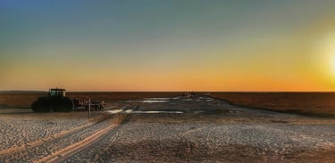 une des pépites à proximité du Parc du Marquenterre dans la Somme