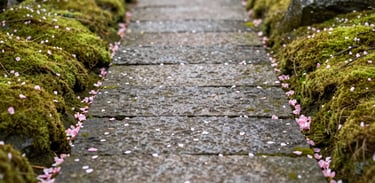 A minimalist stone path in a Japanese Zen garden, flanked by vibrant green moss and fallen pink cherry blossom petals. Serene, low-angle photography. International / English-speaking professional context.