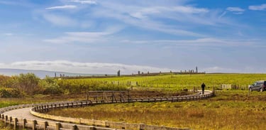 Countryside Boardwalk Photo
