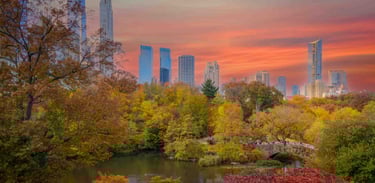 Central Park Autumn Landscape