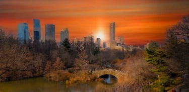 Central Park Sunset Print