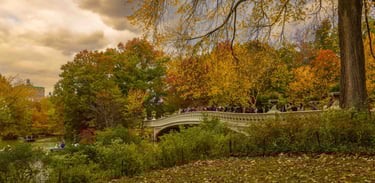 Bow Bridge Central Park Autumn Landscape