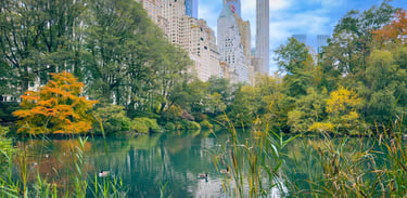 Cemtral Park with NYC Skyline