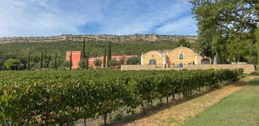 Chateau De La Galiniene Winery