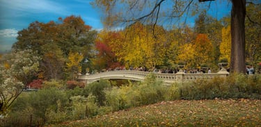 Central Park Bridge Photo