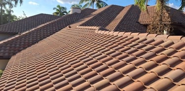 roof cleaning oakalnd park fl 