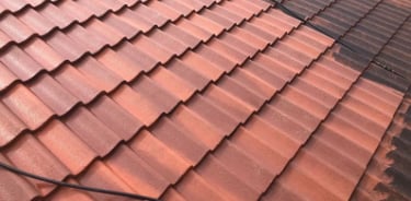 roof cleaning oakalnd park fl 