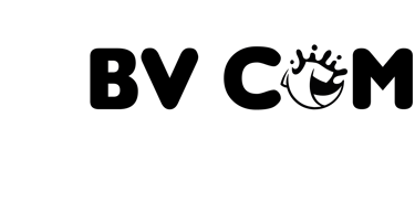 logo bvcom