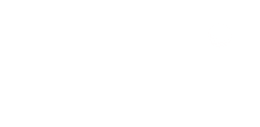 Bayou Birdie It logo