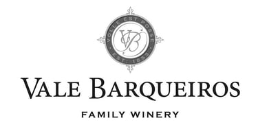 vale barqueiros logo