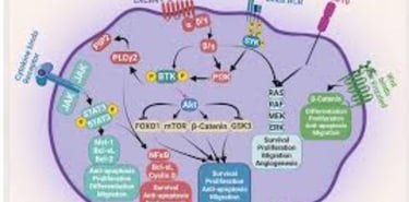 Multiple Myeloma: Diagnosis, Complications, Treatment, and Fasting