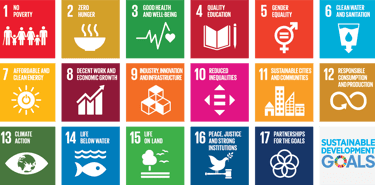 List of all SDGs