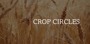 Crop Circles