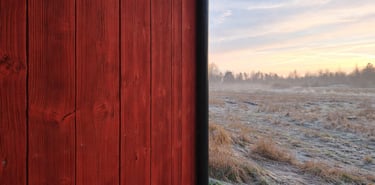 Peinture naturelle mate sur bois avec nœuds apparents et rendu authentique
