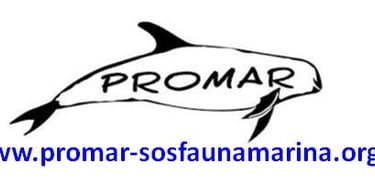 PROMAR Mi Burbuja Ordenada