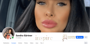 capture ecran haut de page sandra gartner