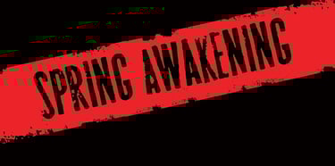 Spring Awakening - Shanghai - Director