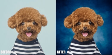 photo-manipulations