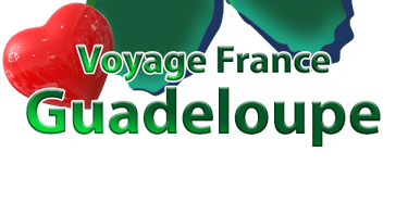 logo voyage france guadeloupe