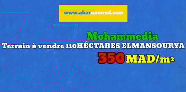 Akar namrod terrain à vendre mohammedia