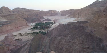 Desert trip Bedouin star