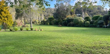 Lawn maintenance