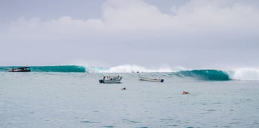 rifles mentawai wave