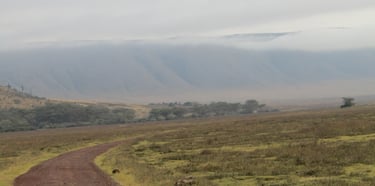 View of Ngorongoro Crater downward