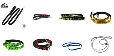 Leather leads, Webbing leads, training leads, Show leads, show sets, trigger leads