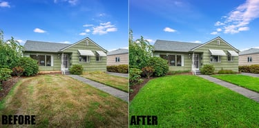 lawn-replacement